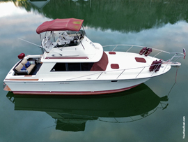 Fresh Water 1979 Silverton 34 Convertible Motor Yacht For Sale on Norris Lake Tennessee at Shanghai Resort Marina near LaFollette Tennessee