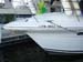 99CruiserYacht02